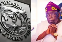 IMF WARNS NIGERIA AGAINST RESTORING PETROL SUBSIDY, PROPOSES ALTERNATIVES